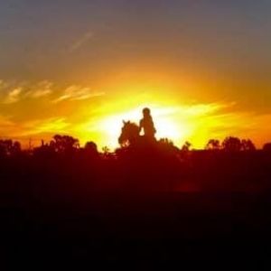 Meet your Posher, Willow